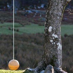 2018-11 Scotland/Glenuig/DSC_7140.JPG